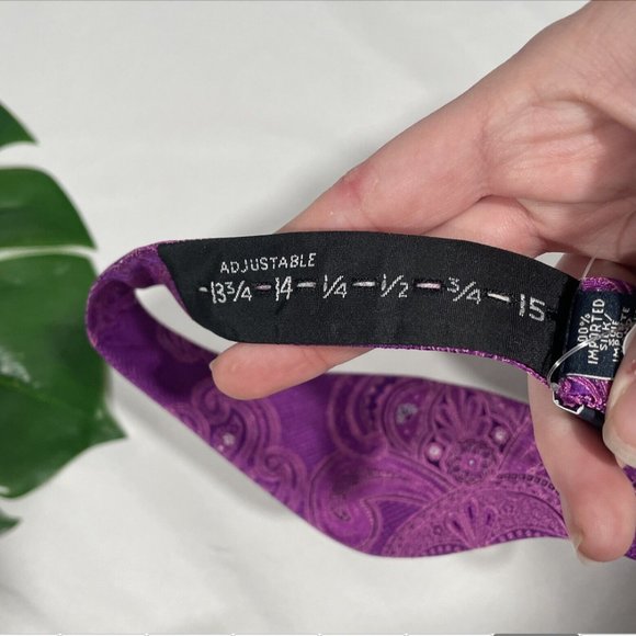 NWT $80‎ Ted Baker London [ MEN ] Preakness Paisley Silk Bow Tie in Berry Purple - Picture 6 of 9